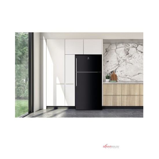 Kulkas 2 Pintu Electrolux 503 Liter ETB-5400B-H