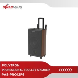Speaker Aktif Polytron Bluetooth PAS-PRO12F6