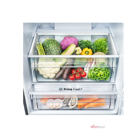 Kulkas 2 Pintu Panasonic 420 Liter Prime Fresh Bottom Freezer NR-BX471C Kulkas 2 Pintu Panasonic 420 Liter Prime Fresh Bottom Freezer NR-BX471C