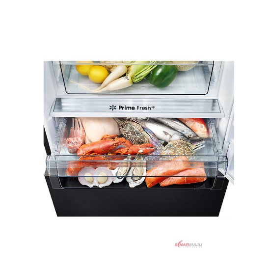 Kulkas 2 Pintu Panasonic 422 Liter Prime Fresh+ Bottom Freezer NR-BX421BPKD