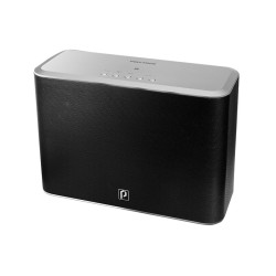 Polytron Multiroom Speaker PMS-R2